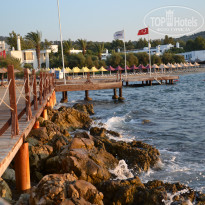 фото из отзыва ID 541466