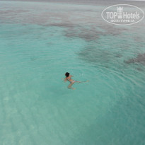 фото из отзыва ID 541626