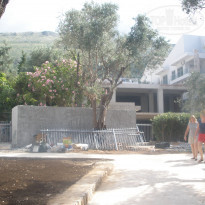 фото из отзыва ID 541661