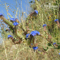 фото из отзыва ID 541689