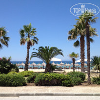 фото из отзыва ID 542438