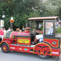 фото из отзыва ID 542833