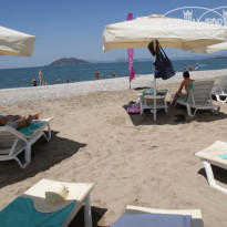 фото из отзыва ID 542820