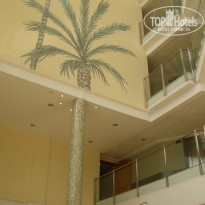 фото из отзыва ID 543161