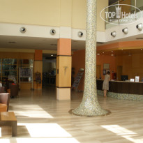 фото из отзыва ID 543161