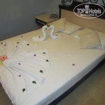 фото из отзыва ID 543213