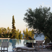 фото из отзыва ID 543305