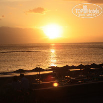 фото из отзыва ID 543419