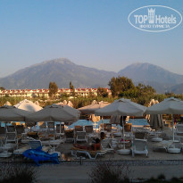 фото из отзыва ID 543522