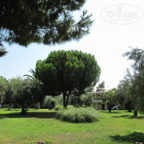 фото из отзыва ID 543657