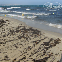 фото из отзыва ID 543997