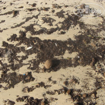 фото из отзыва ID 543997