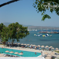 фото из отзыва ID 544039