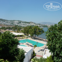 фото из отзыва ID 544039