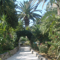 фото из отзыва ID 544143