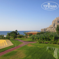 фото из отзыва ID 544436