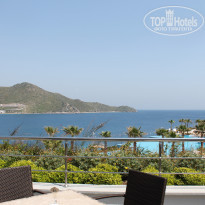 фото из отзыва ID 544439