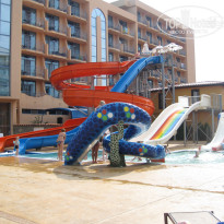 фото из отзыва ID 544454