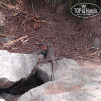 фото из отзыва ID 544529