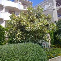 фото из отзыва ID 544550