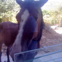 фото из отзыва ID 544550