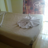 фото из отзыва ID 544550