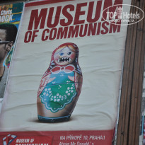 фото из отзыва ID 544580