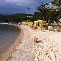 фото из отзыва ID 544684