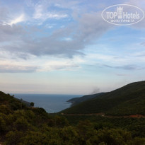 фото из отзыва ID 544684