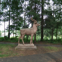 фото из отзыва ID 544743