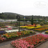 фото из отзыва ID 544749