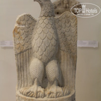 фото из отзыва ID 545089