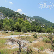 фото из отзыва ID 545089