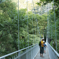 фото из отзыва ID 545089