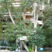 фото из отзыва ID 545261