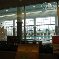 фото из отзыва ID 545289