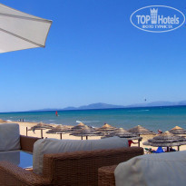 фото из отзыва ID 545444