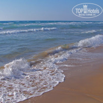 фото из отзыва ID 545444