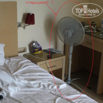 фото из отзыва ID 545655