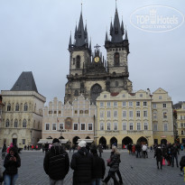 фото из отзыва ID 545710