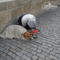 фото из отзыва ID 545710