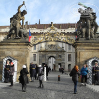 фото из отзыва ID 545710