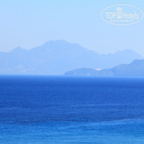 фото из отзыва ID 546011