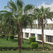 фото из отзыва ID 546250