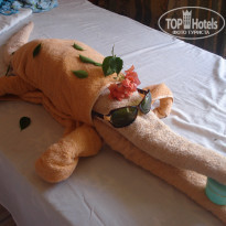 фото из отзыва ID 546275