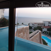 фото из отзыва ID 546292