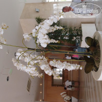 фото из отзыва ID 546292