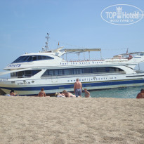 фото из отзыва ID 546514