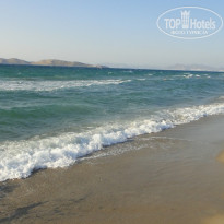 фото из отзыва ID 546565