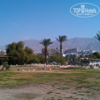 фото из отзыва ID 546604